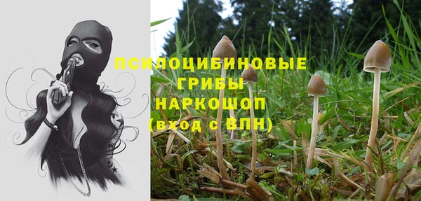 MESCALINE Баксан