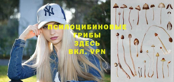 соль курить ск Балахна