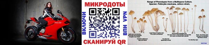 Галлюциногенные грибы Cubensis  дарк нет формула  Онега 